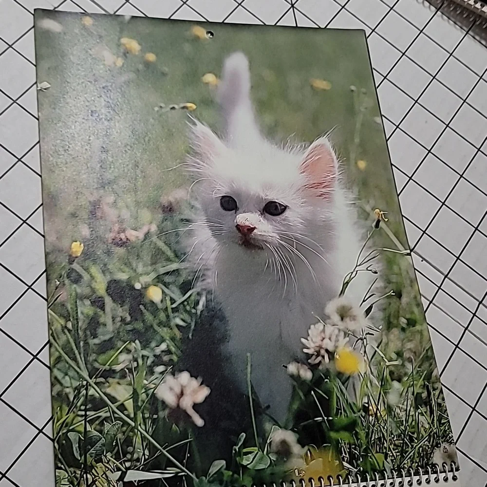 1985 Kittens Calendar by Betty Powell‎ - Vintage
